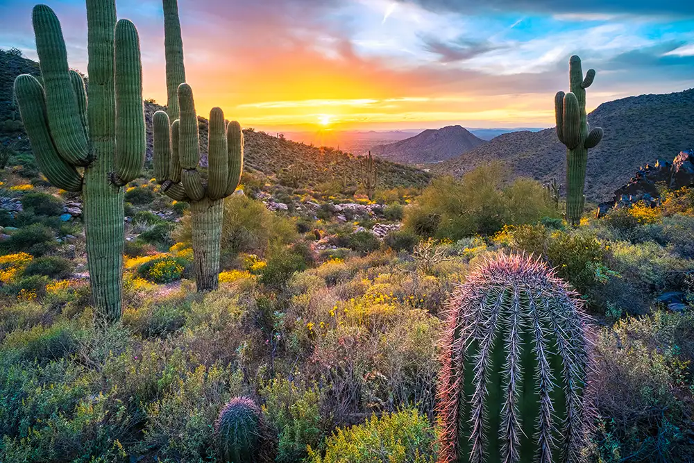 Peoria, AZ